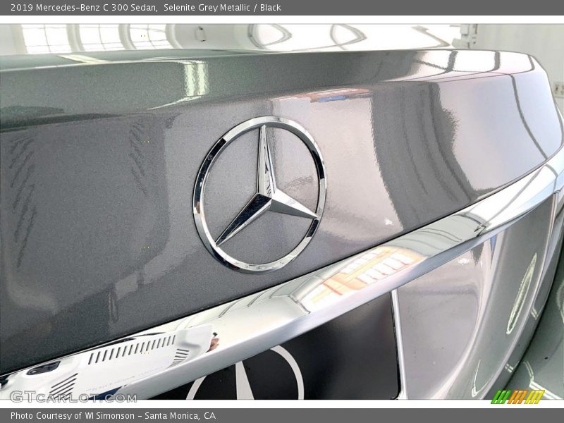 Selenite Grey Metallic / Black 2019 Mercedes-Benz C 300 Sedan