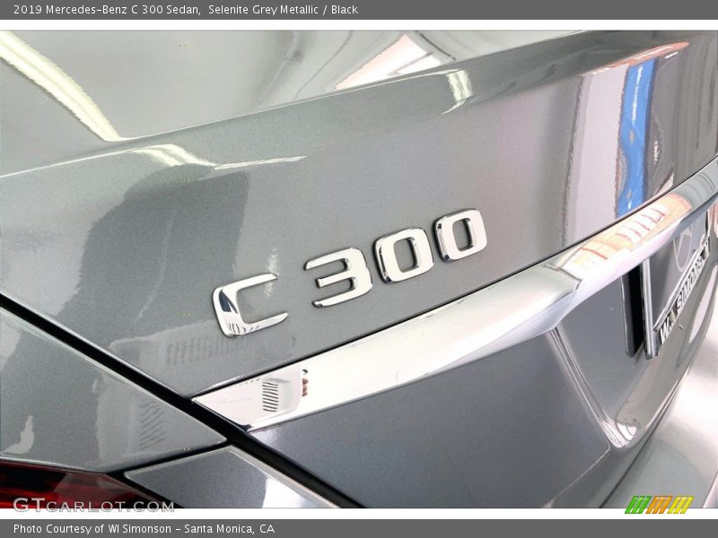 Selenite Grey Metallic / Black 2019 Mercedes-Benz C 300 Sedan