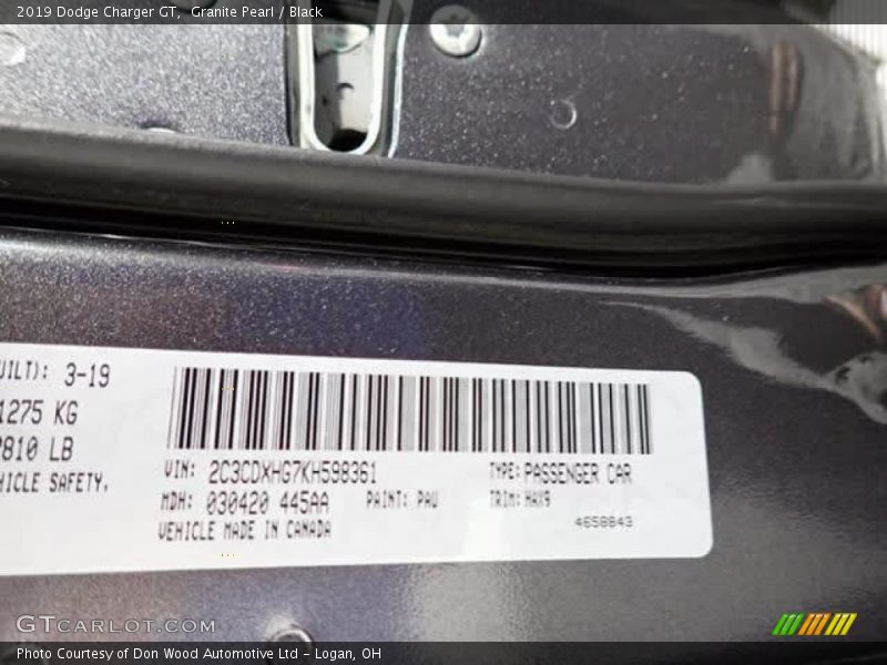 Granite Pearl / Black 2019 Dodge Charger GT