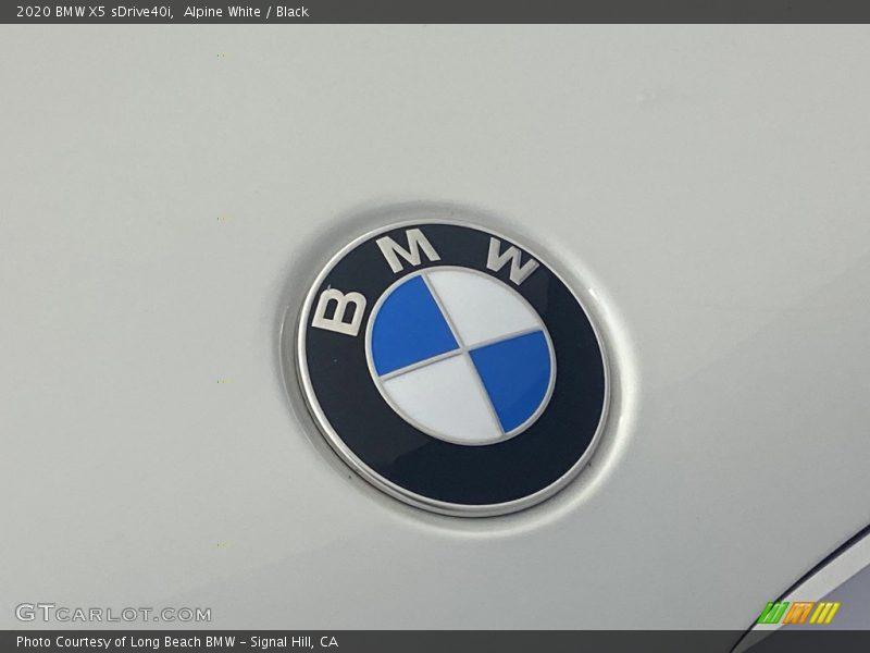 Alpine White / Black 2020 BMW X5 sDrive40i