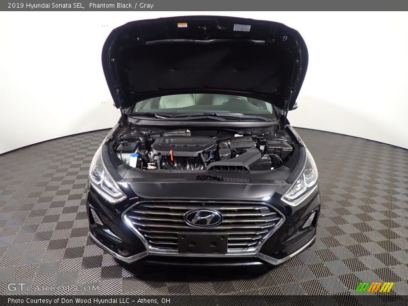 Phantom Black / Gray 2019 Hyundai Sonata SEL