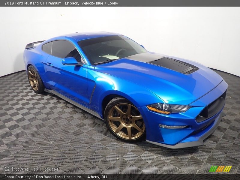 Velocity Blue / Ebony 2019 Ford Mustang GT Premium Fastback