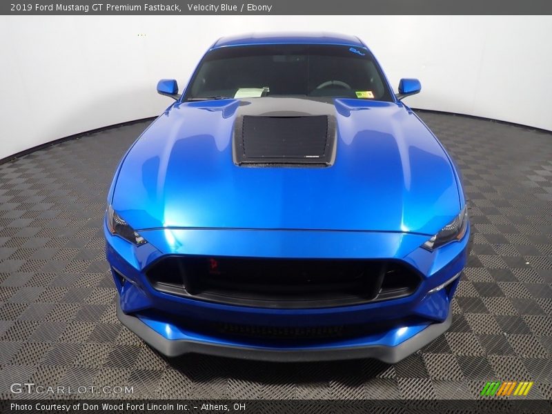 Velocity Blue / Ebony 2019 Ford Mustang GT Premium Fastback