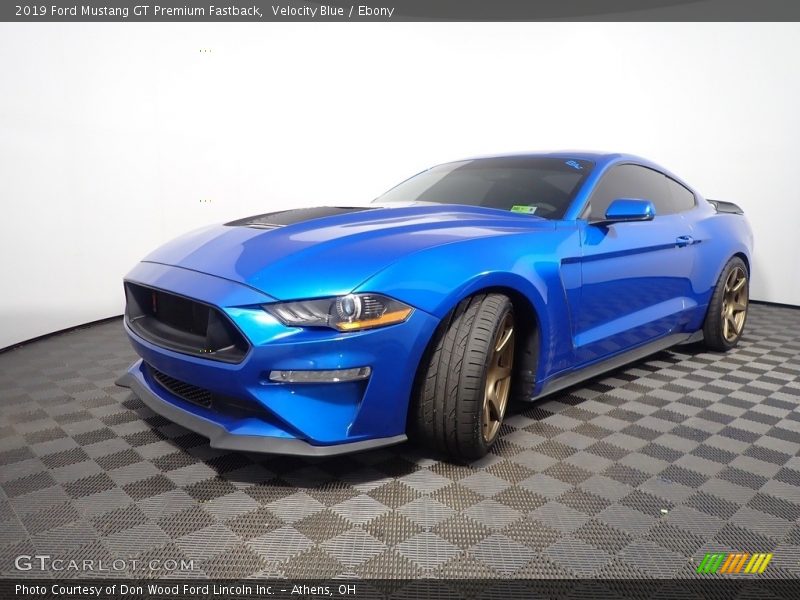 Velocity Blue / Ebony 2019 Ford Mustang GT Premium Fastback