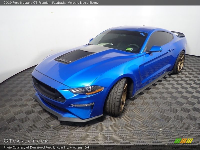 Velocity Blue / Ebony 2019 Ford Mustang GT Premium Fastback