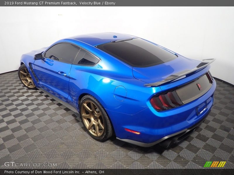 Velocity Blue / Ebony 2019 Ford Mustang GT Premium Fastback