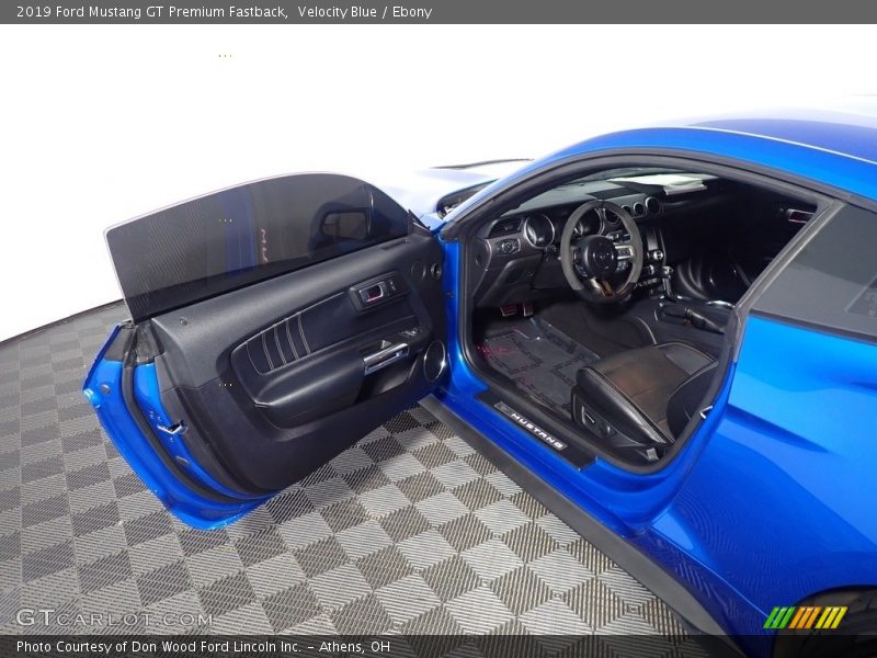 Velocity Blue / Ebony 2019 Ford Mustang GT Premium Fastback