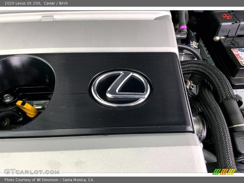 Caviar / Birch 2020 Lexus UX 200