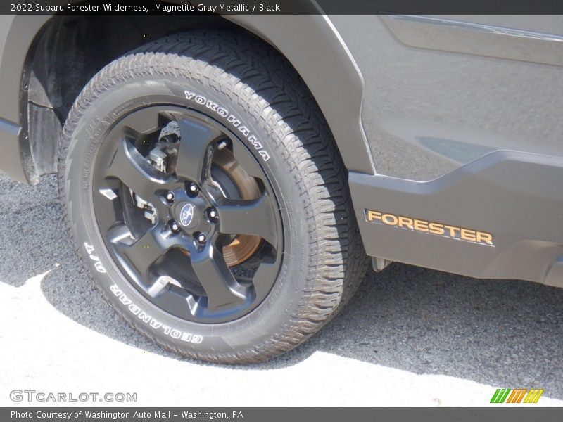  2022 Forester Wilderness Logo