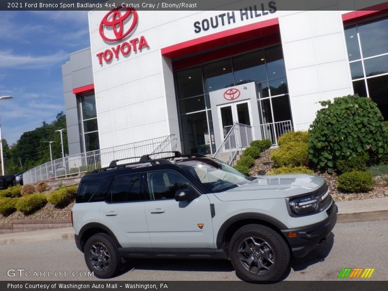 Cactus Gray / Ebony/Roast 2021 Ford Bronco Sport Badlands 4x4