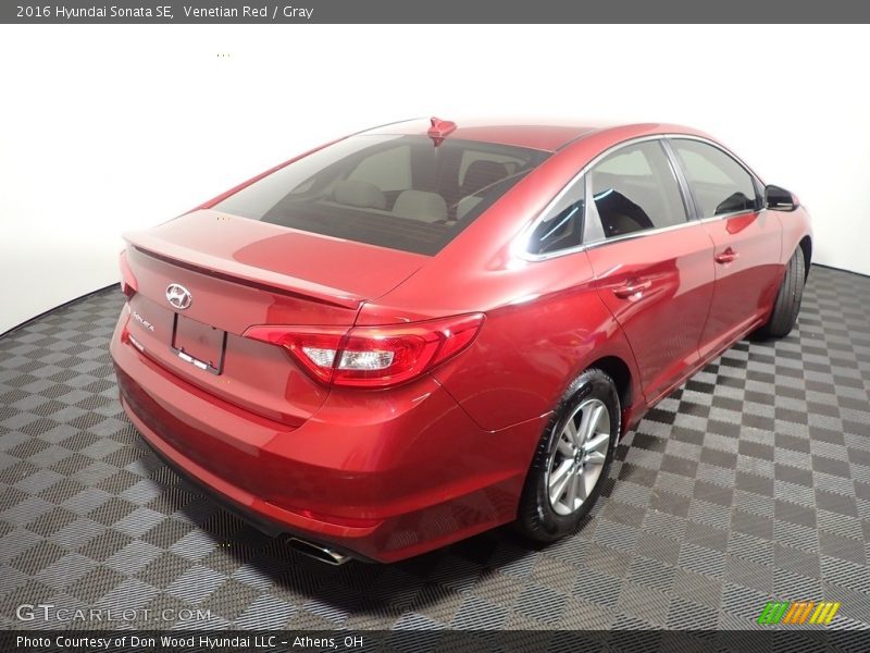 Venetian Red / Gray 2016 Hyundai Sonata SE