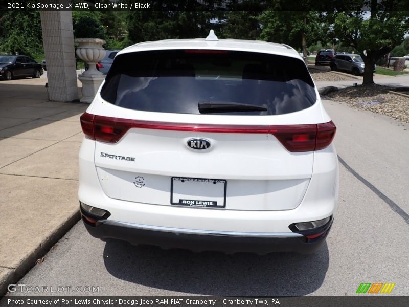 Clear White / Black 2021 Kia Sportage LX AWD