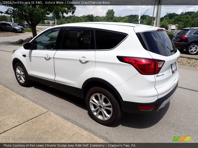 Oxford White / Chromite Gray/Charcoal Black 2019 Ford Escape SE 4WD