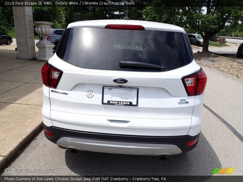 Oxford White / Chromite Gray/Charcoal Black 2019 Ford Escape SE 4WD