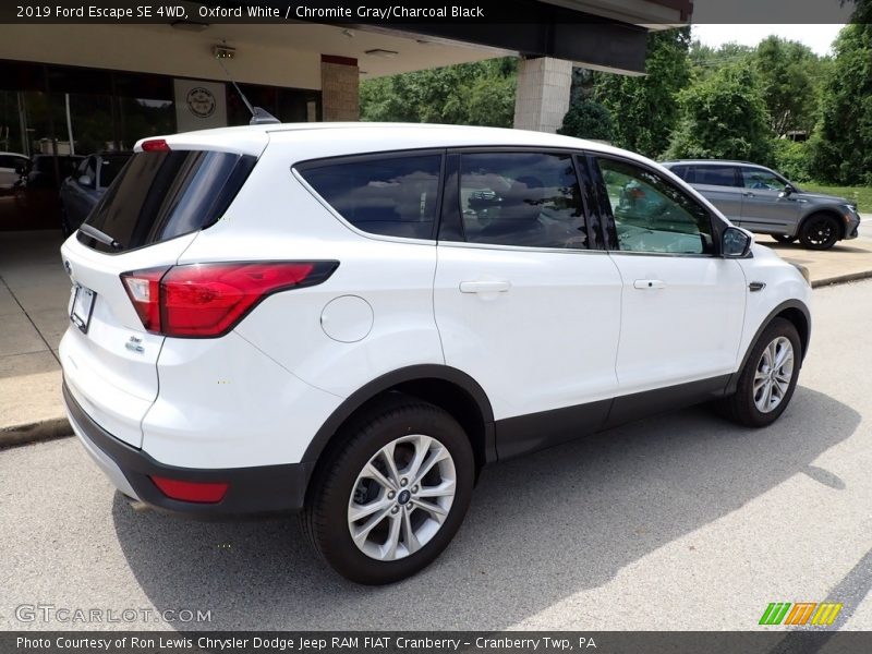 Oxford White / Chromite Gray/Charcoal Black 2019 Ford Escape SE 4WD