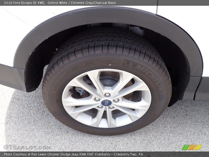 Oxford White / Chromite Gray/Charcoal Black 2019 Ford Escape SE 4WD