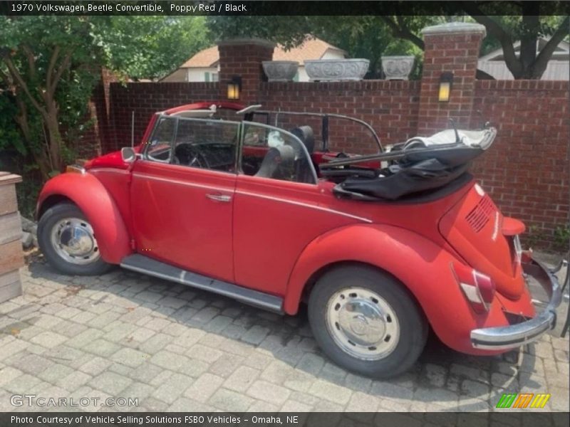  1970 Beetle Convertible Poppy Red