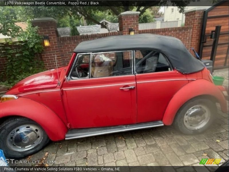  1970 Beetle Convertible Poppy Red