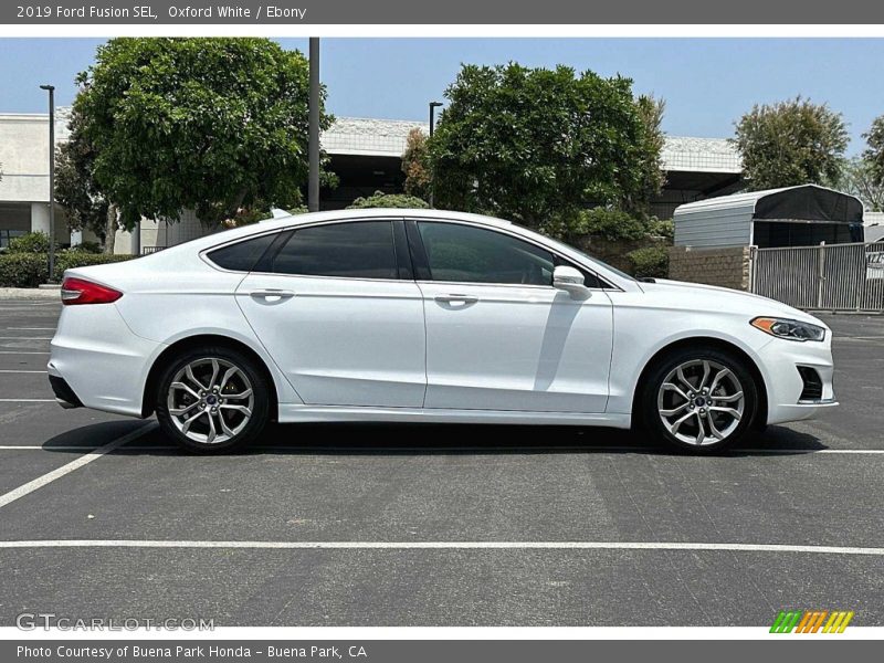  2019 Fusion SEL Oxford White