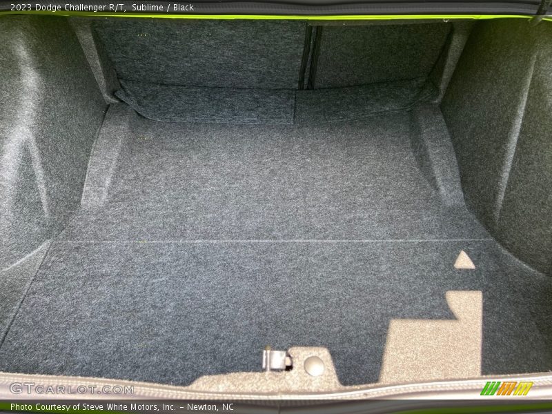 Sublime / Black 2023 Dodge Challenger R/T