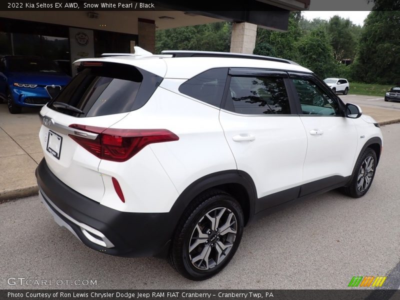 Snow White Pearl / Black 2022 Kia Seltos EX AWD