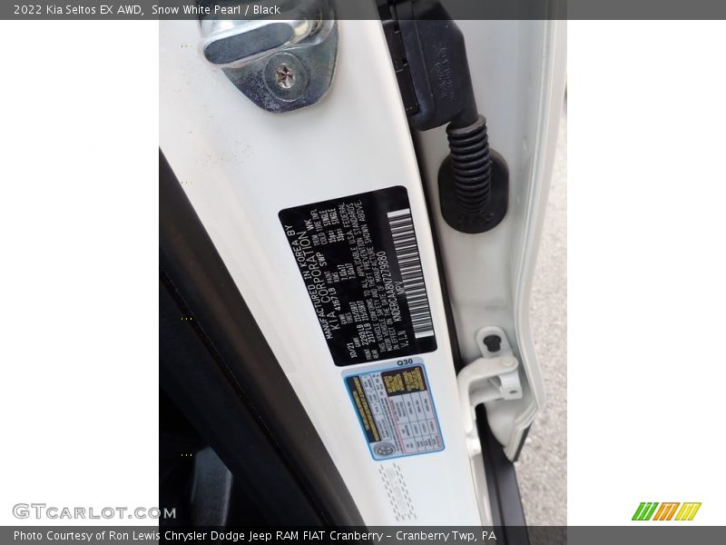 Snow White Pearl / Black 2022 Kia Seltos EX AWD