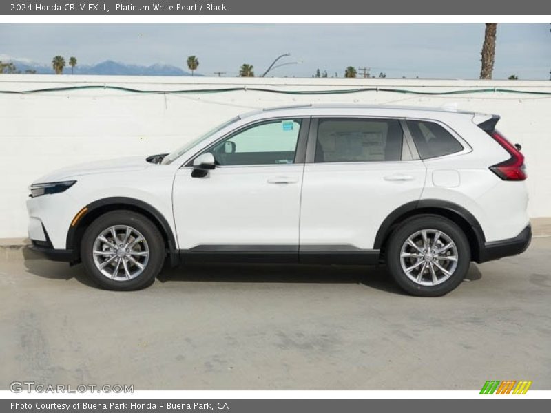  2024 CR-V EX-L Platinum White Pearl