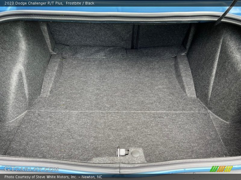 Frostbite / Black 2023 Dodge Challenger R/T Plus