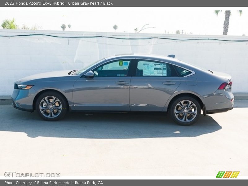 Urban Gray Pearl / Black 2023 Honda Accord EX-L Hybrid