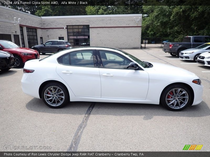  2024 Giulia Sprint AWD Alfa White