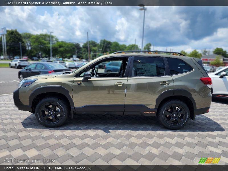 Autumn Green Metallic / Black 2023 Subaru Forester Wilderness
