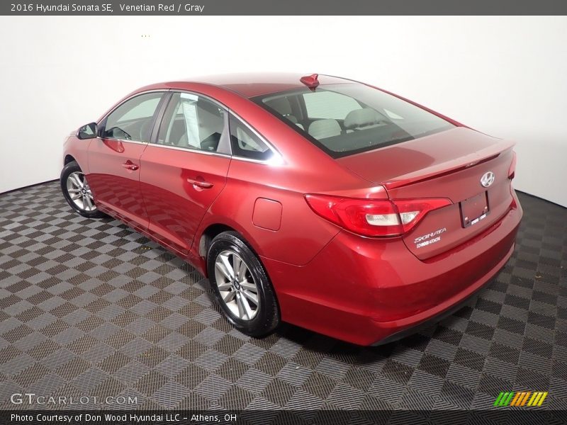 Venetian Red / Gray 2016 Hyundai Sonata SE