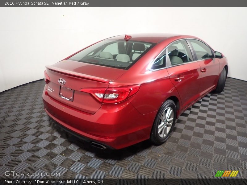 Venetian Red / Gray 2016 Hyundai Sonata SE