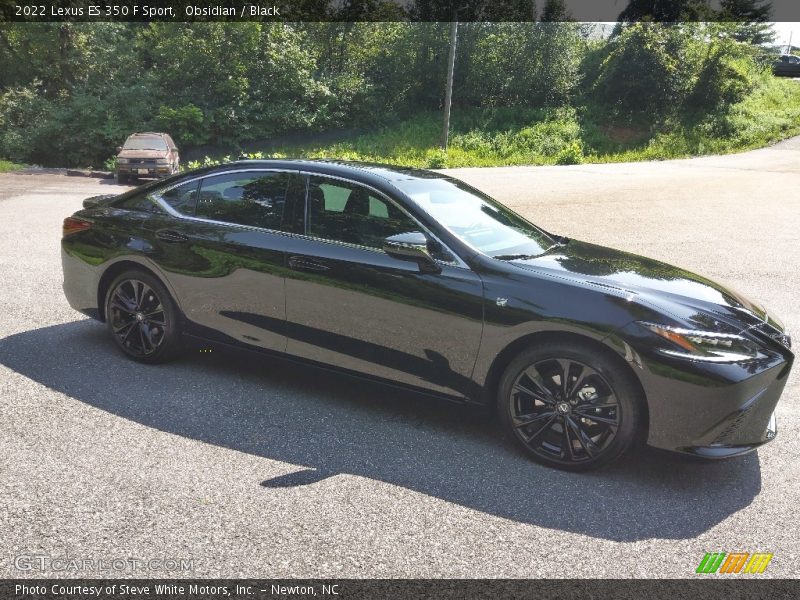 Obsidian / Black 2022 Lexus ES 350 F Sport