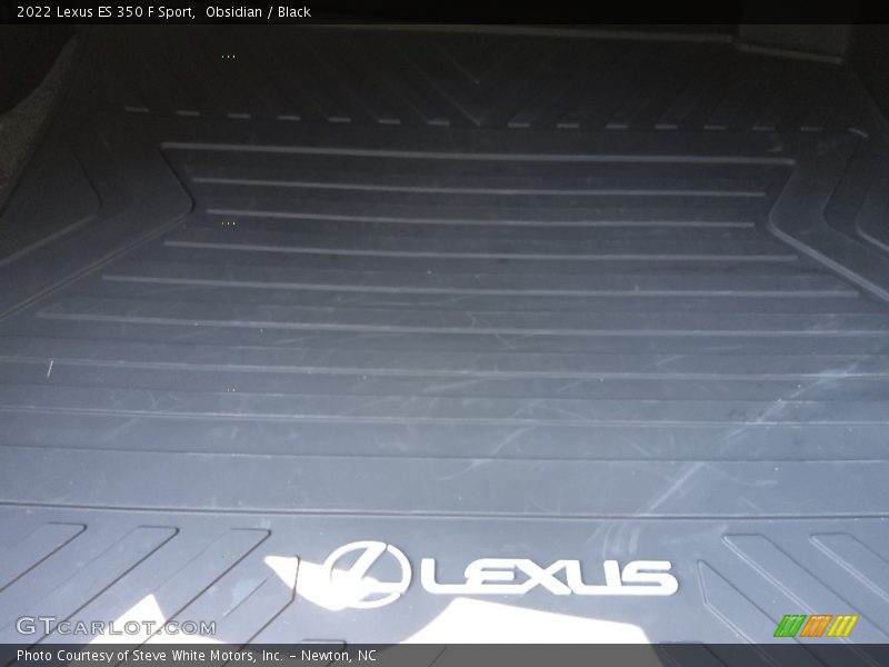 Obsidian / Black 2022 Lexus ES 350 F Sport