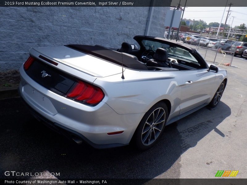 Ingot Silver / Ebony 2019 Ford Mustang EcoBoost Premium Convertible