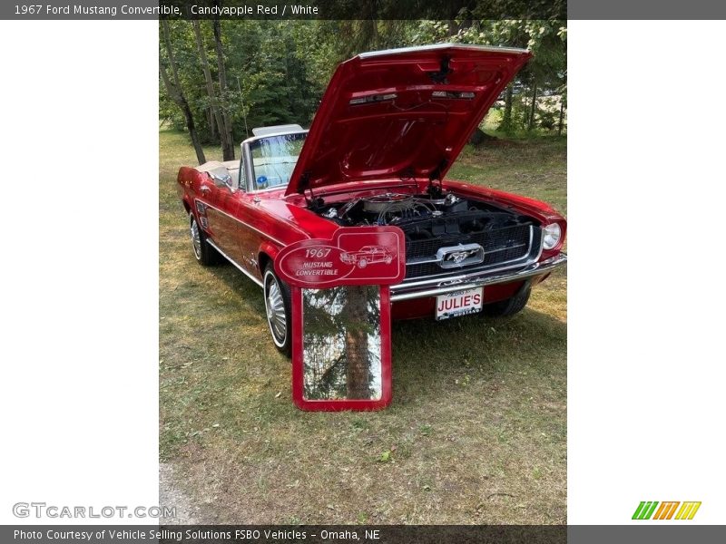 Candyapple Red / White 1967 Ford Mustang Convertible