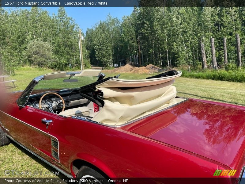 Candyapple Red / White 1967 Ford Mustang Convertible