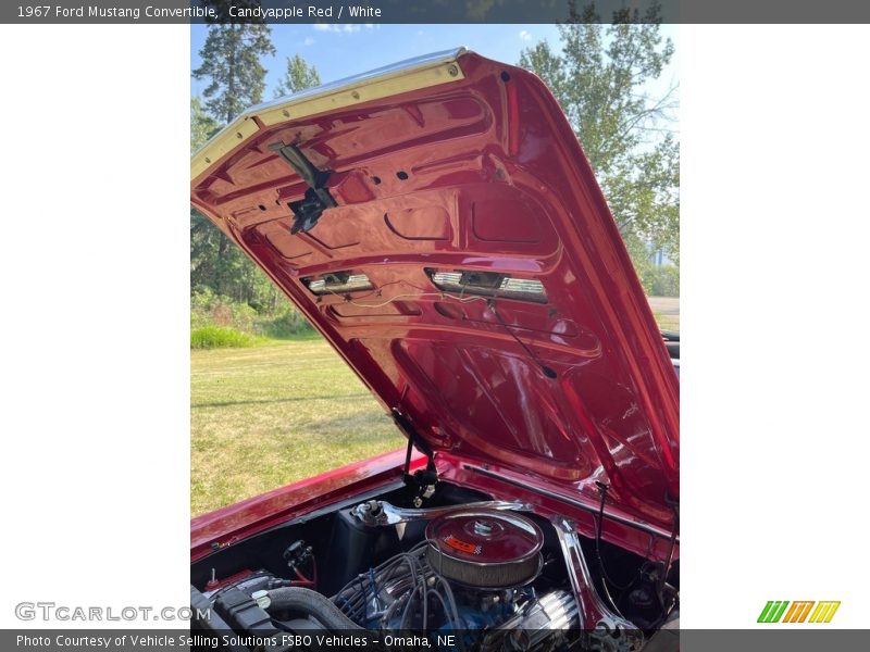 Candyapple Red / White 1967 Ford Mustang Convertible