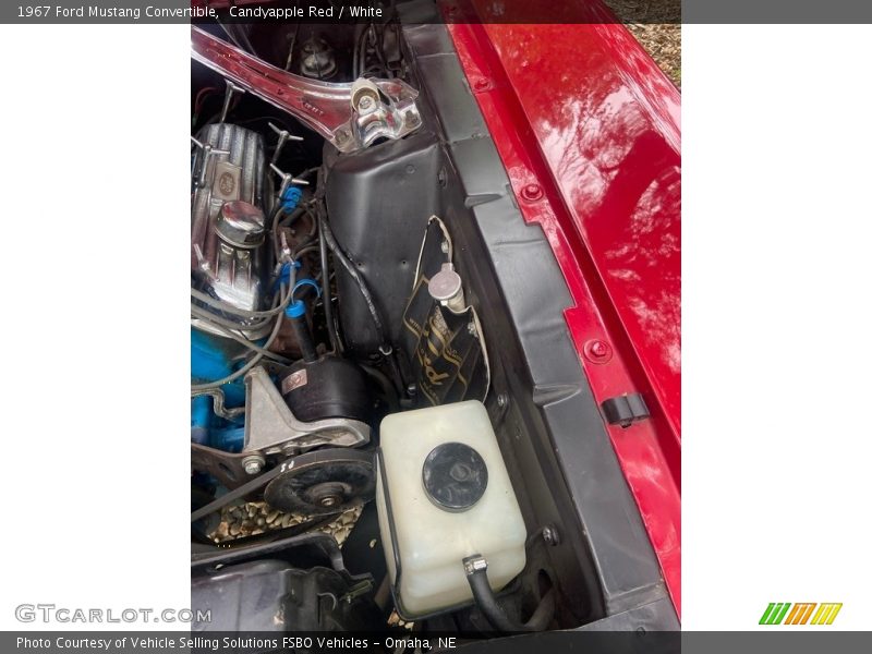 Candyapple Red / White 1967 Ford Mustang Convertible