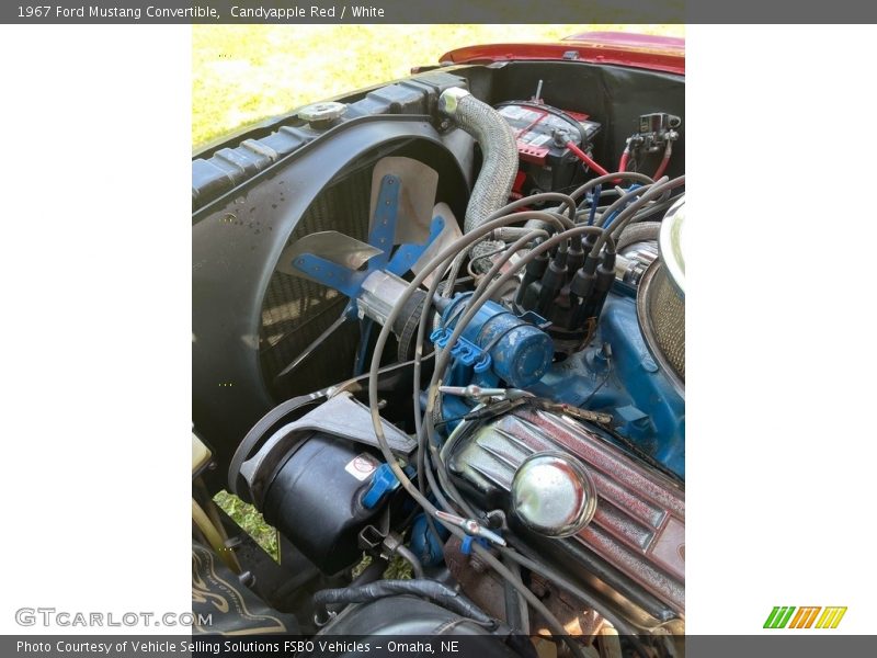 Candyapple Red / White 1967 Ford Mustang Convertible