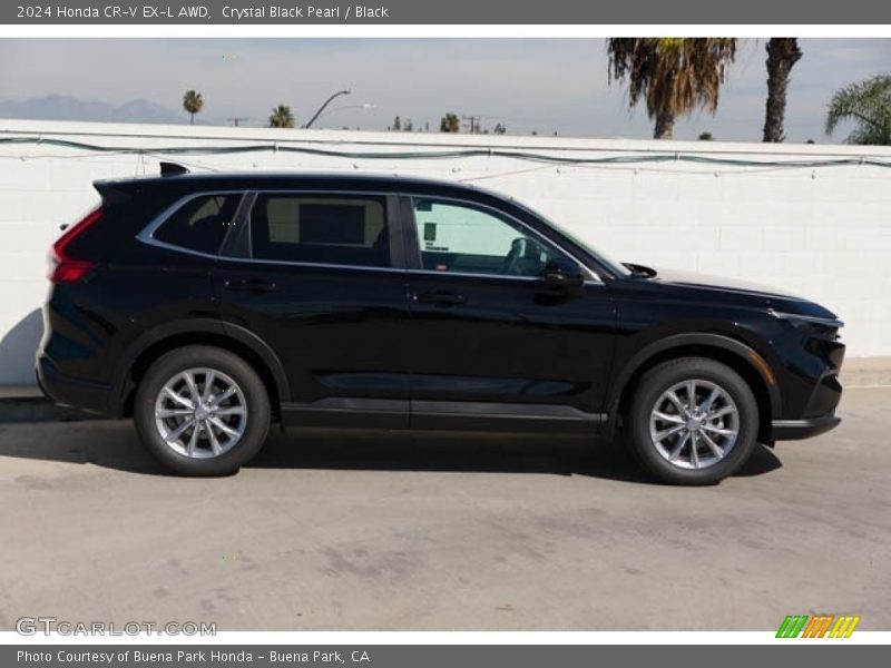 Crystal Black Pearl / Black 2024 Honda CR-V EX-L AWD