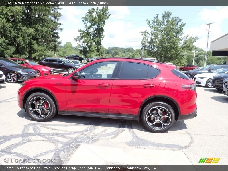  2024 Stelvio Veloce AWD Alfa Rosso (Red)