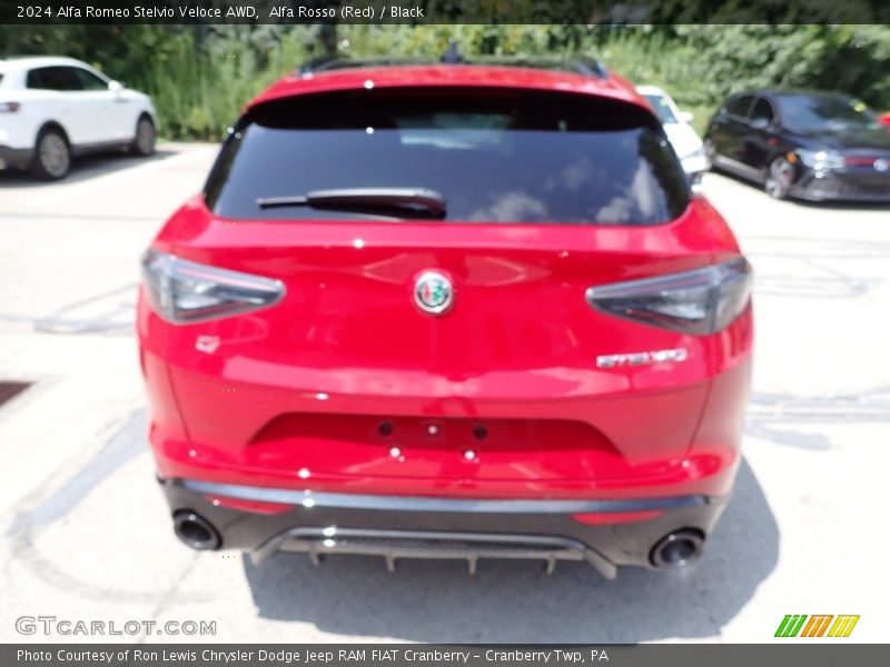 Alfa Rosso (Red) / Black 2024 Alfa Romeo Stelvio Veloce AWD
