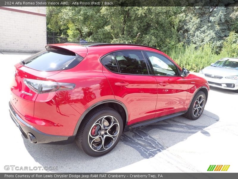 Alfa Rosso (Red) / Black 2024 Alfa Romeo Stelvio Veloce AWD