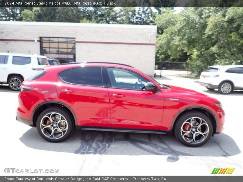 Alfa Rosso (Red) / Black 2024 Alfa Romeo Stelvio Veloce AWD