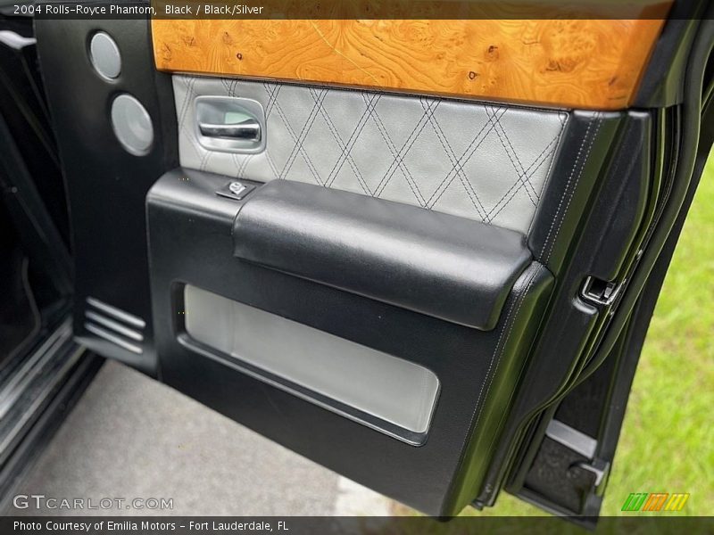 Door Panel of 2004 Phantom 