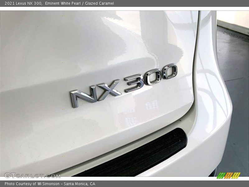  2021 NX 300 Logo