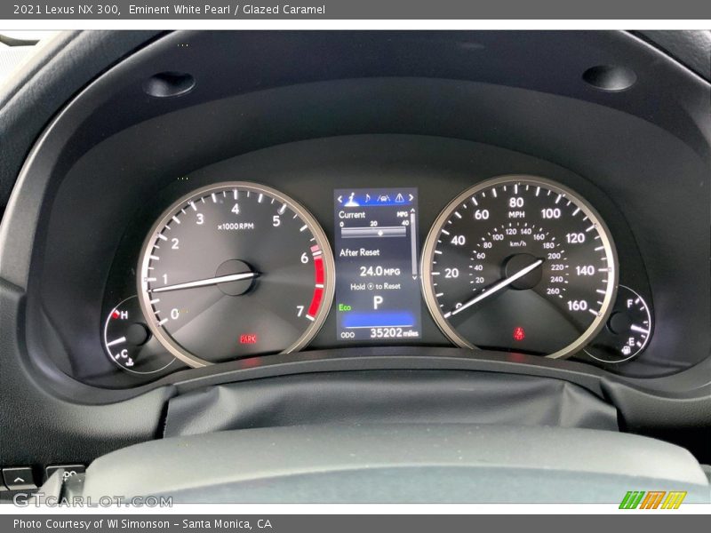  2021 NX 300 300 Gauges