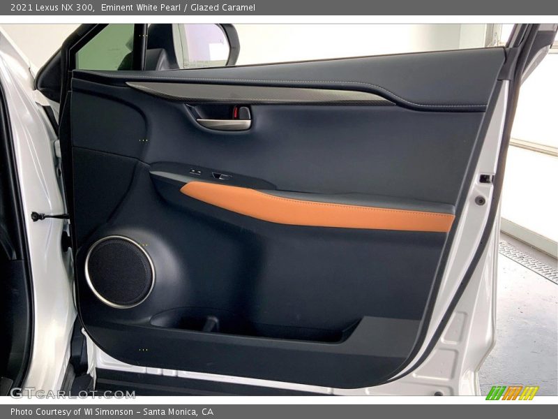 Door Panel of 2021 NX 300